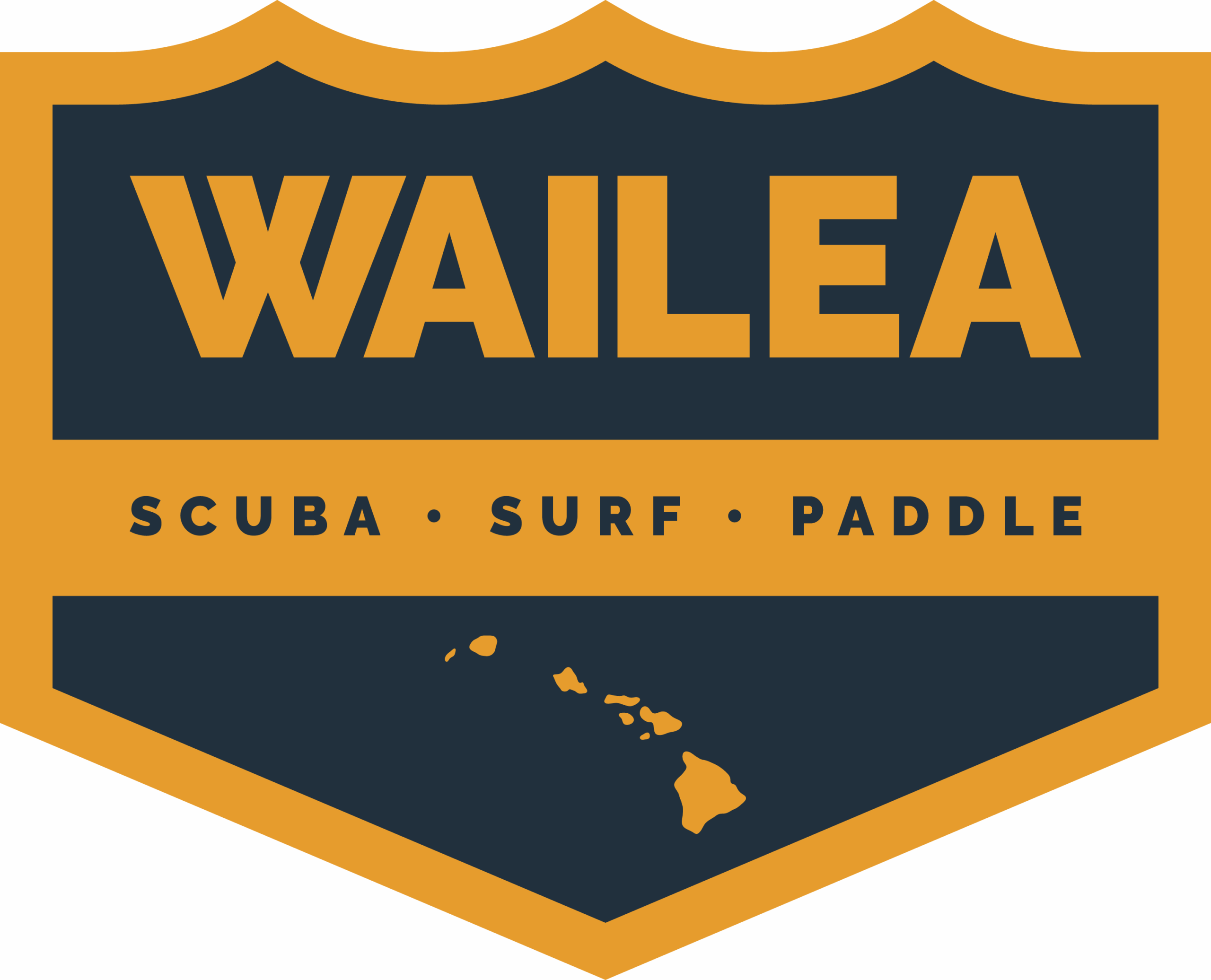 Wailea Scuba, Surf & Paddle